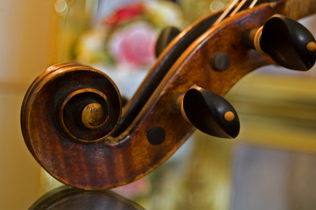 violin music instrument