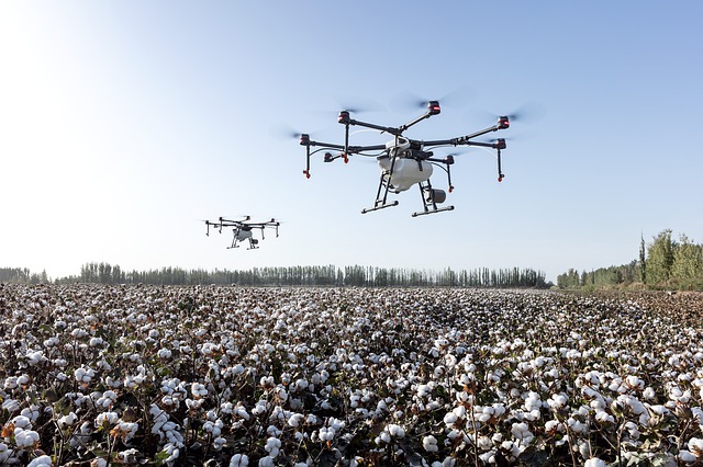 agritech, drone, cotton field, farmer